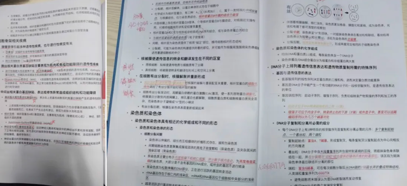 image.png 双非跨考圆梦上海交大基础医学,行动胜过完美!