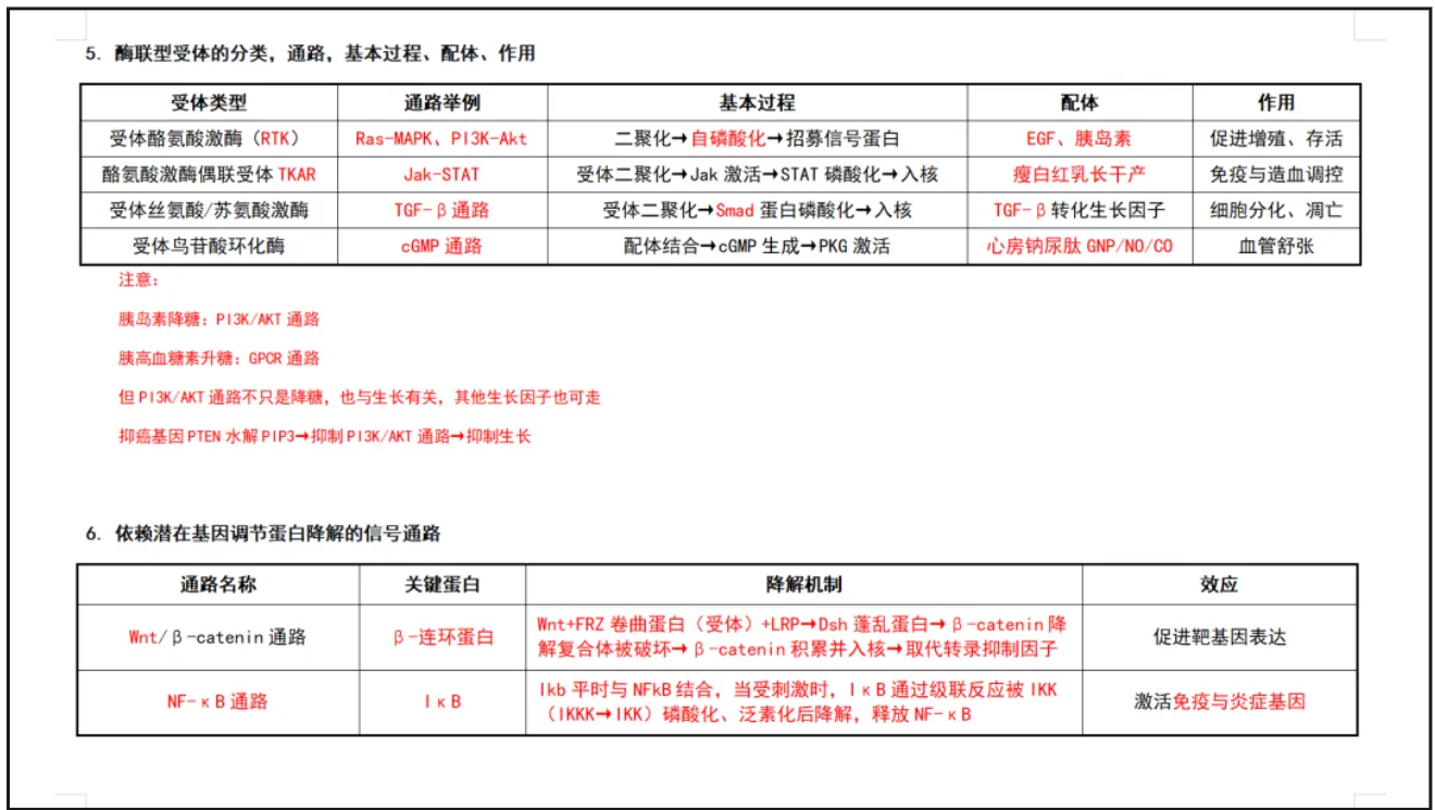 image.png 双非跨考圆梦上海交大基础医学,行动胜过完美!