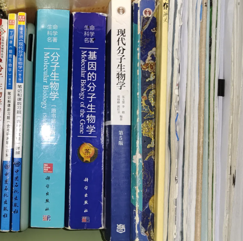 双非三战，初试400分圆梦武汉大学！